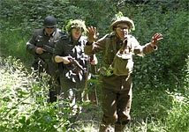 Operation Ariel