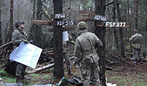 Operation Ariel