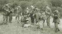 Operation Husky