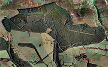 Operation Jedburgh