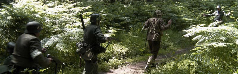 Operation Ariel
