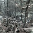 dscf0139 dscf0139