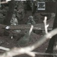 dscf0147