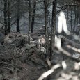 dscf0152