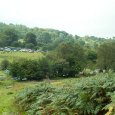 DSCF0749