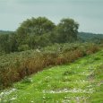 DSCF0760