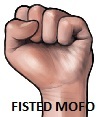 MrSlippyfist